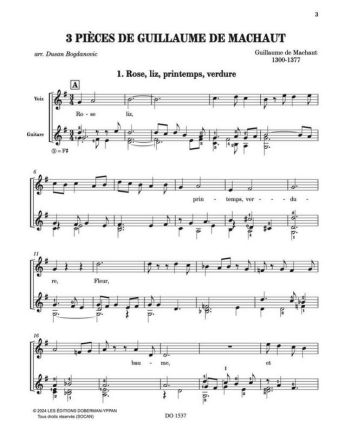 Sample pages