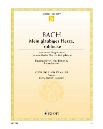 Cover - 648px (height)