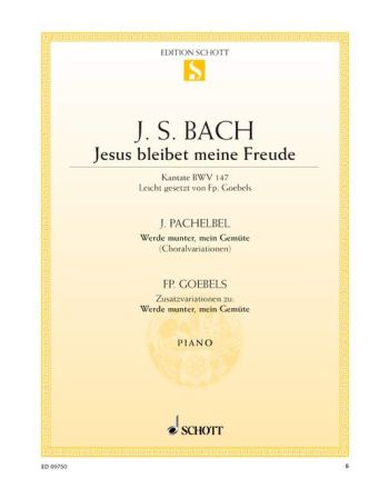 Cover - 648px (height)