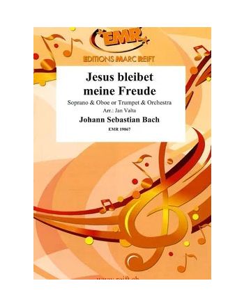 Cover - 648px (height)