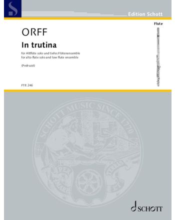 Cover - 648px (height)