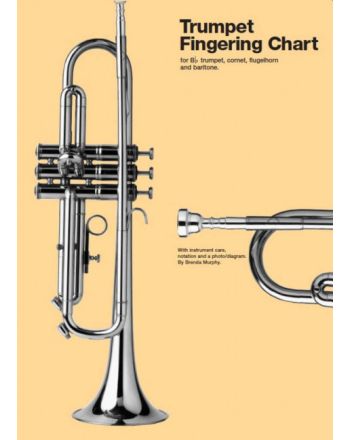 Cover - 648px (height)