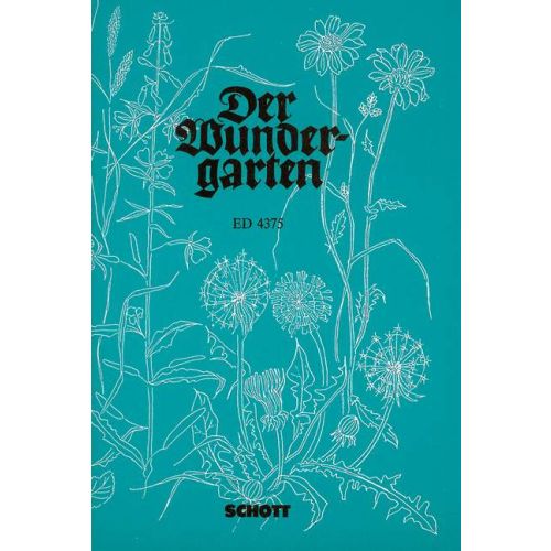 Cover - 648px (height)